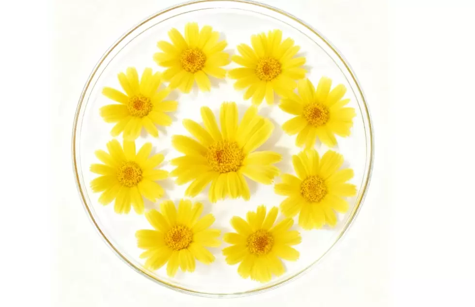 생합성 천연 α-비사볼올을 활용한 지속 가능한 스킨케어