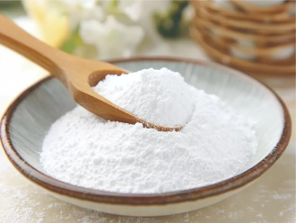 비아블리프 세라믹스 I