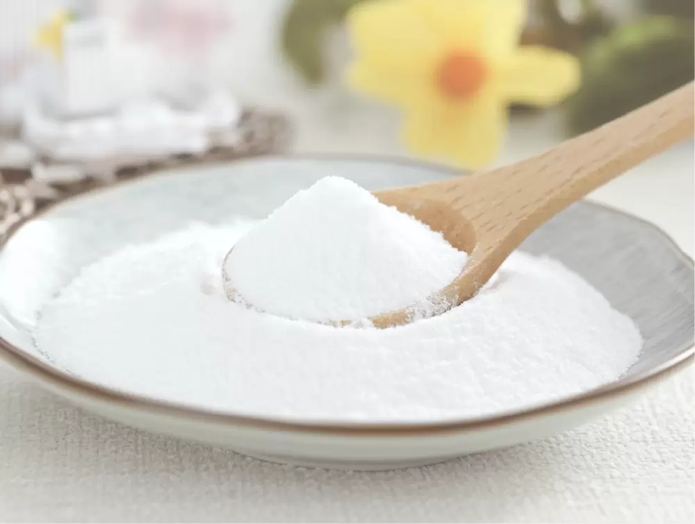 바이어블리프 세라믹스 플러스