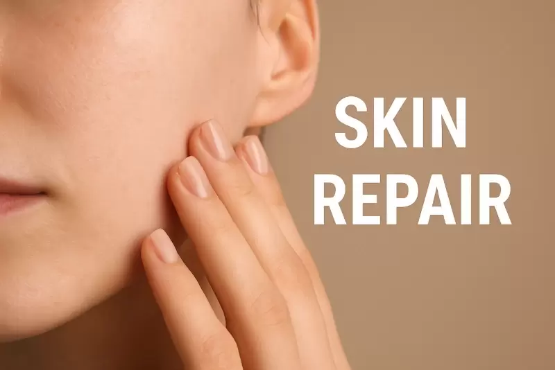 피부를 위한 세라마이드 NP: 장벽 과학에 대한 구조적 접근