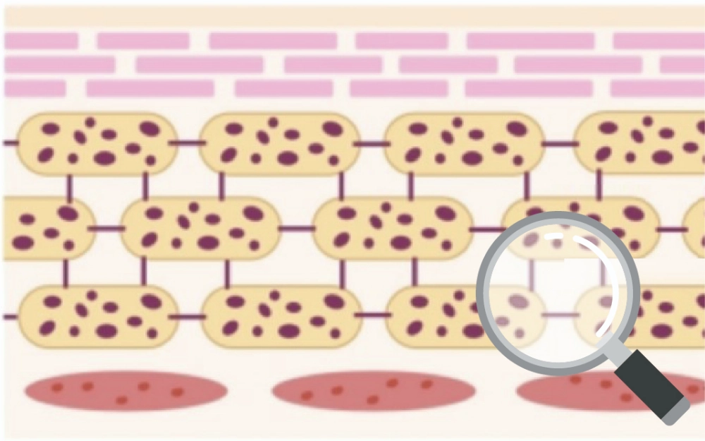 이중 혁명: 수리에서 회복력으로 The Dual Revolution: From Repair to Resilience